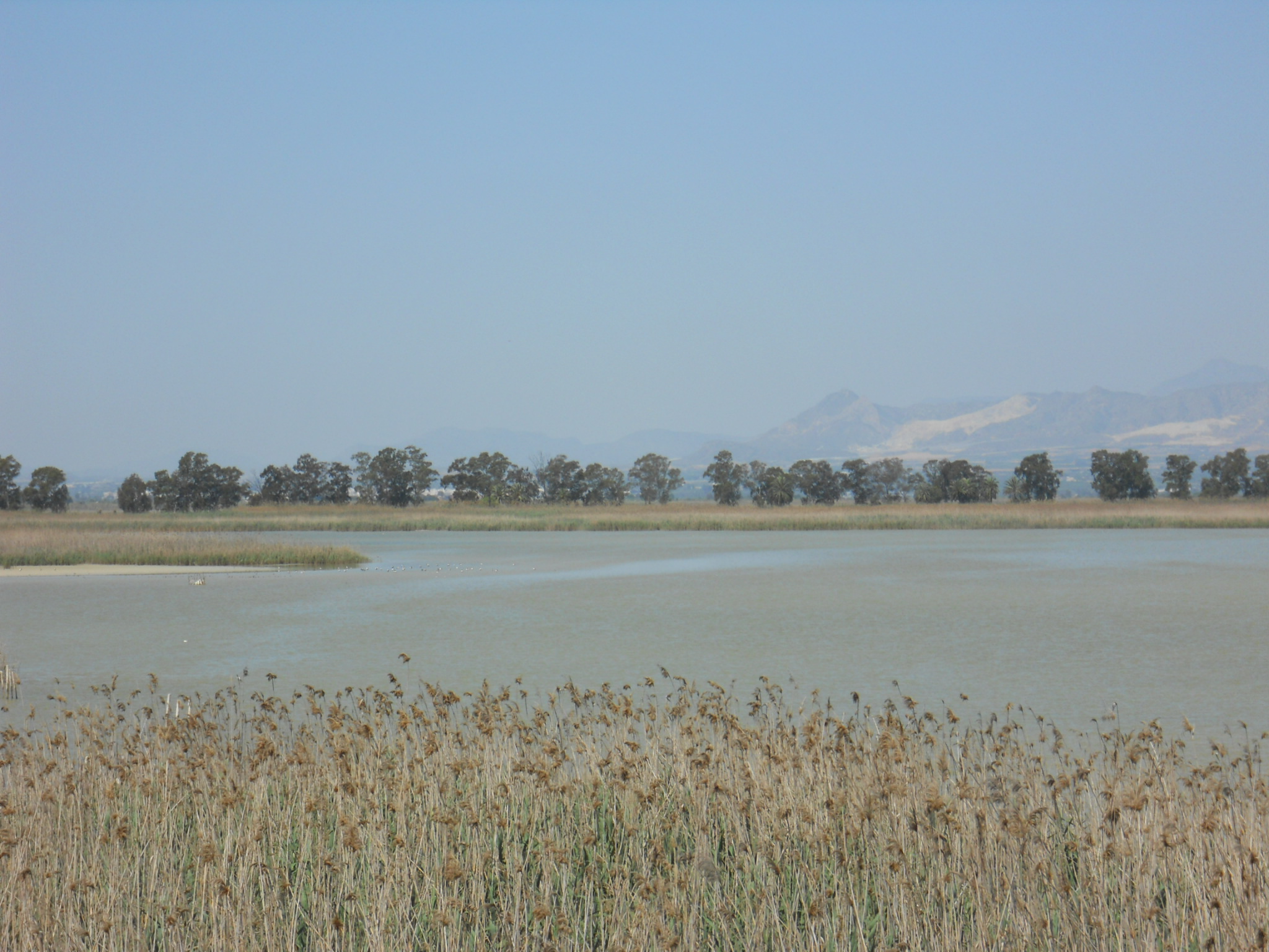 El Hondo. Panorámica del Embalse de Levante